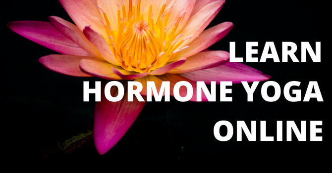 Hormone Yoga Therapy image