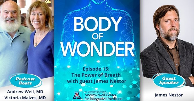 Body of Wonder Podcast  image