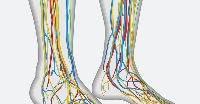 Dr. Joelle Nadeau Publishes Research on  Nerve Regrowth image