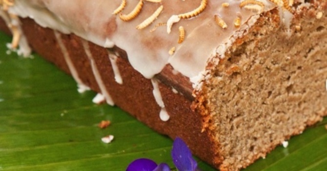 A Neglected Protein-Rich 'Superfood' image