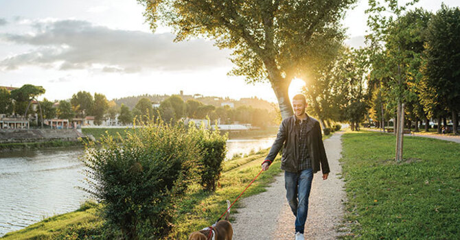 Exercise can help improve rheumatoid arthritis symptoms image