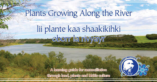 Plants Growing Along the River image