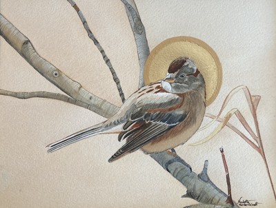 Sanctus Spizelloides arborea (Tree Sparrow)