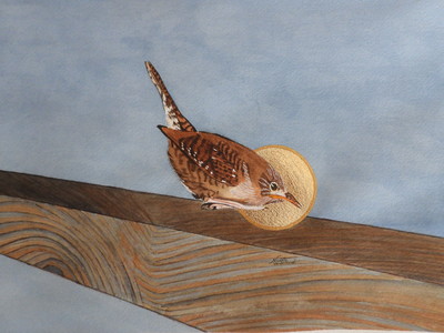 Sanctus Troglodytes aedon (House Wren)