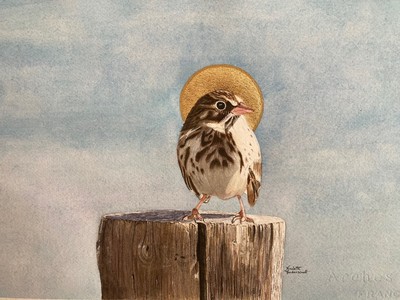 Sanctus Pooecetes gramineus (Vesper Sparrow)