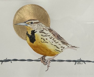 Sanctus Sturnella neglecta (Eastern Meadowlark)