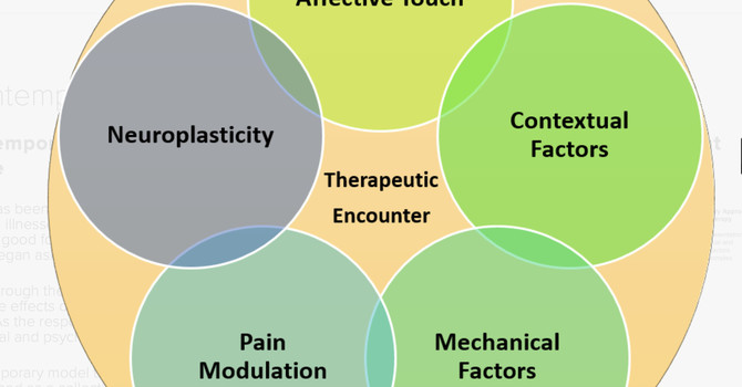 Why Does Massage Therapy Work?