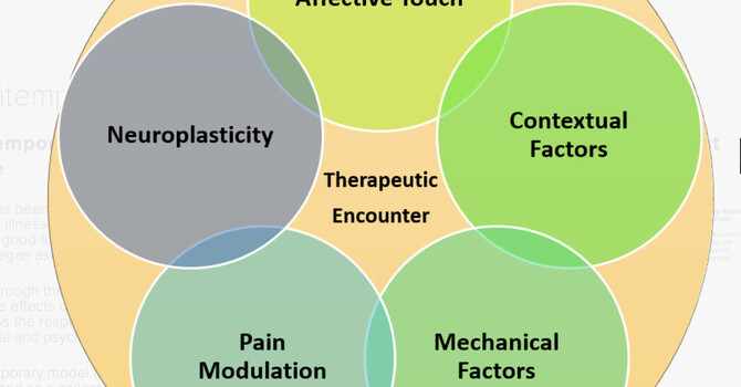 Why Does Massage Therapy Work? image