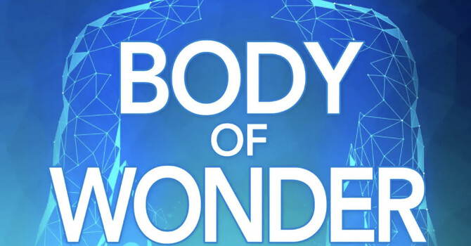 Osteoporosis, Osteopenia, and Supported Bone Health image