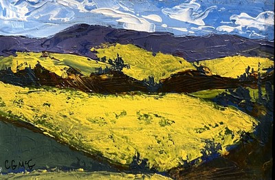 As Far As The Eye Can See • Corla McGillivray
