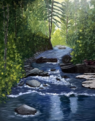 Rush to the Falls • Connie McConnell