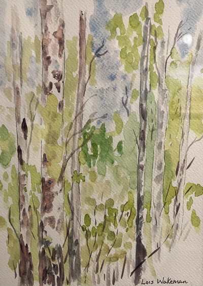 Birch Dreams • Lois Wakeman