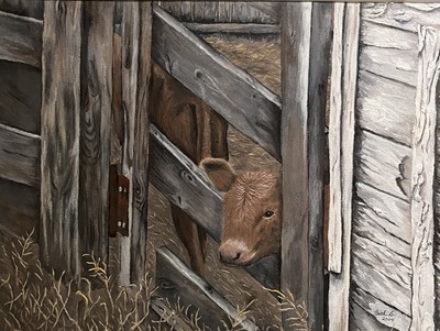 Peak a Moo • Beth Campbell