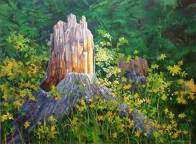 Back to its Beginning