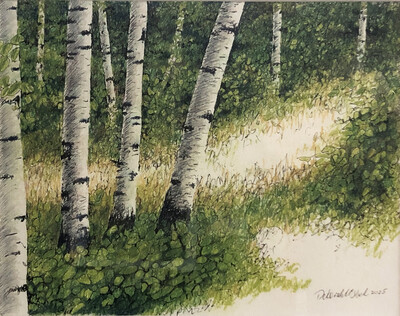 Birches Lead the Way