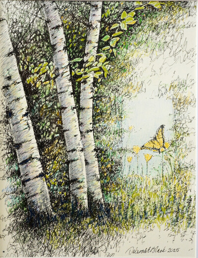 Birches and Butterfly