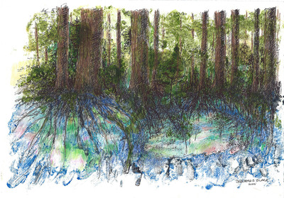 Secret Life of Trees