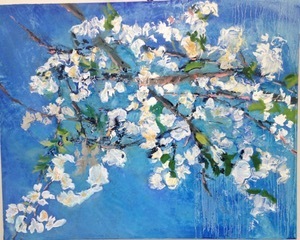 Cherry Blossoms 1